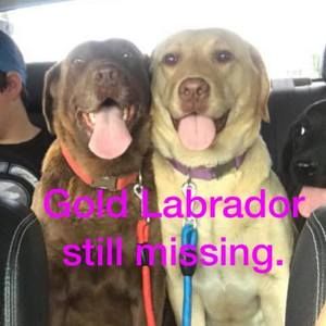 Meet your Posher, Toni